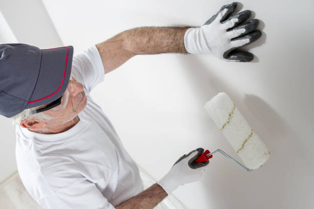 Best Industrial Mold Remediation  in Lake Ridge, VA