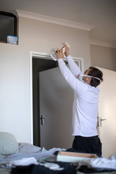  Lake Ridge, VA Mold Removal Pros