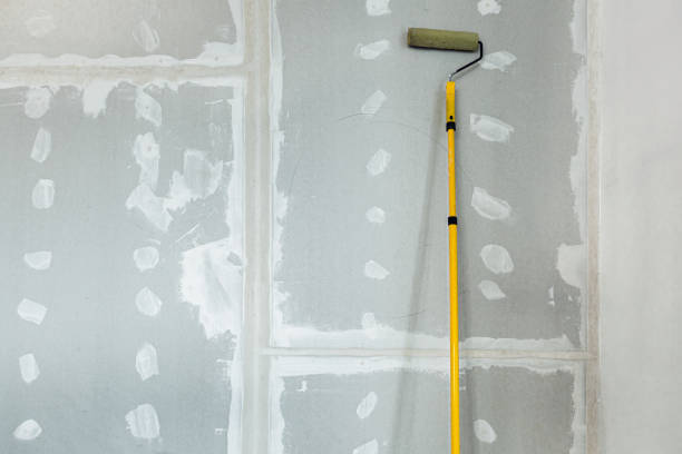 Trusted Lake Ridge, VA Mold Removal Experts