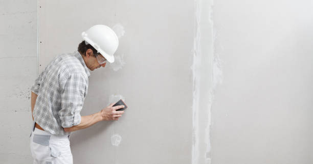 Best Indoor Air Quality Assessment  in Lake Ridge, VA