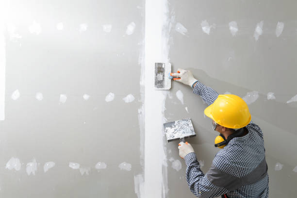 Asbestos and Lead Testing During Mold Inspection in Lake Ridge, VA