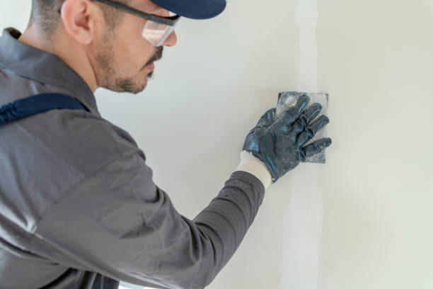 Best Comprehensive Air Testing for Mold Contaminants  in Lake Ridge, VA