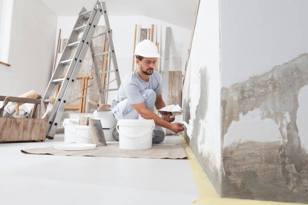 Best Crawl Space Mold Remediation  in Lake Ridge, VA