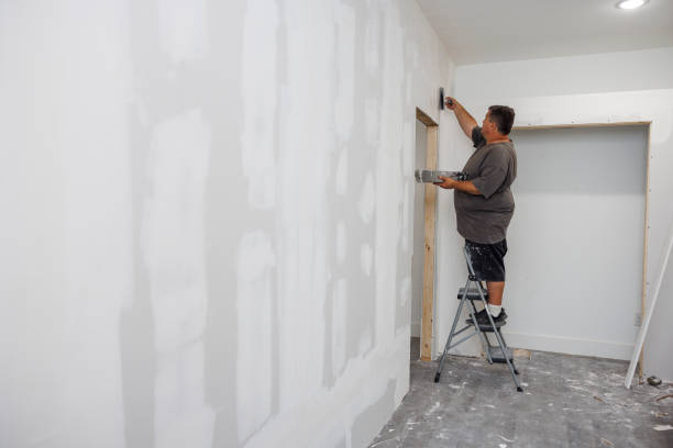 Best Dehumidification Services  in Lake Ridge, VA