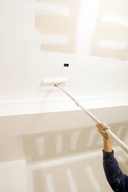 Mold Remediation for Rental Properties in Lake Ridge, VA