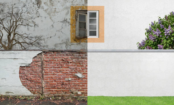 Best Emergency Mold Remediation  in Lake Ridge, VA