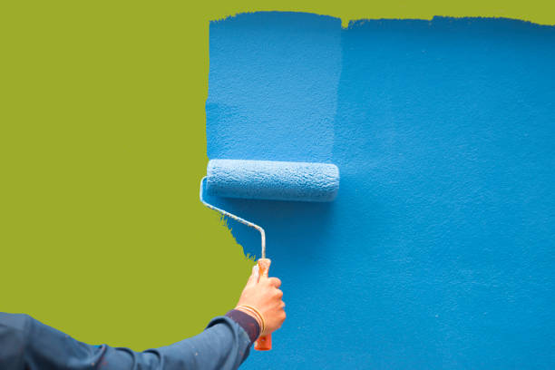 Best Attic Mold Removal  in Lake Ridge, VA